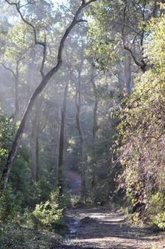 Lodge Karri Valley