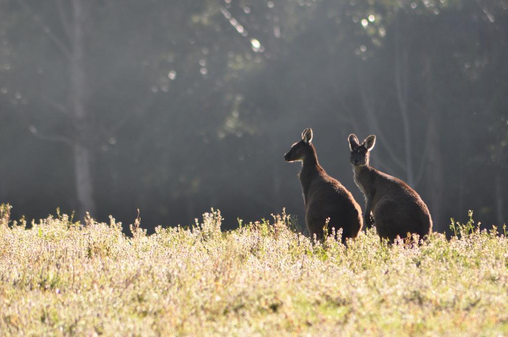 Lodge Karri Valley