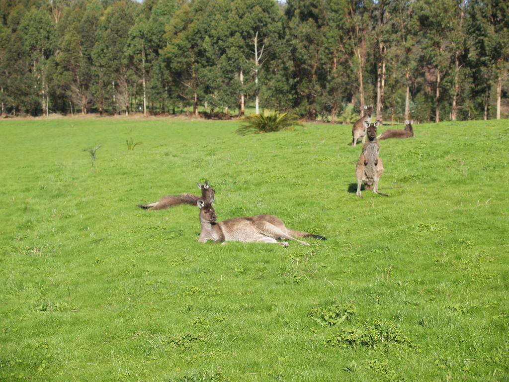 Lodge Karri Valley *