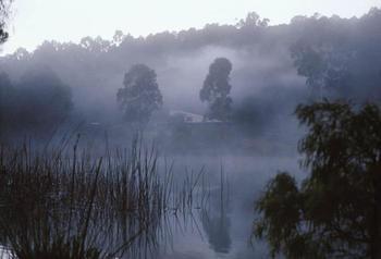 Karri Valley * Pemberton