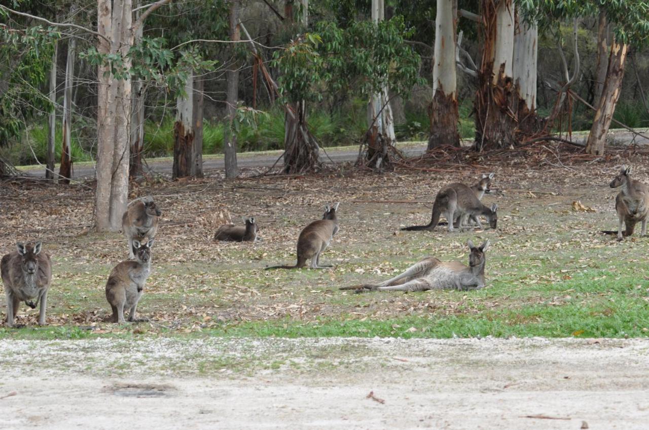 Karri Valley Pemberton
